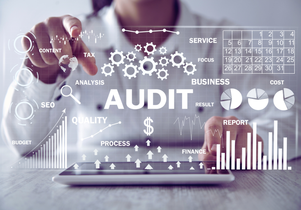 creenshot of a local SEO audit tool analyzing business performance