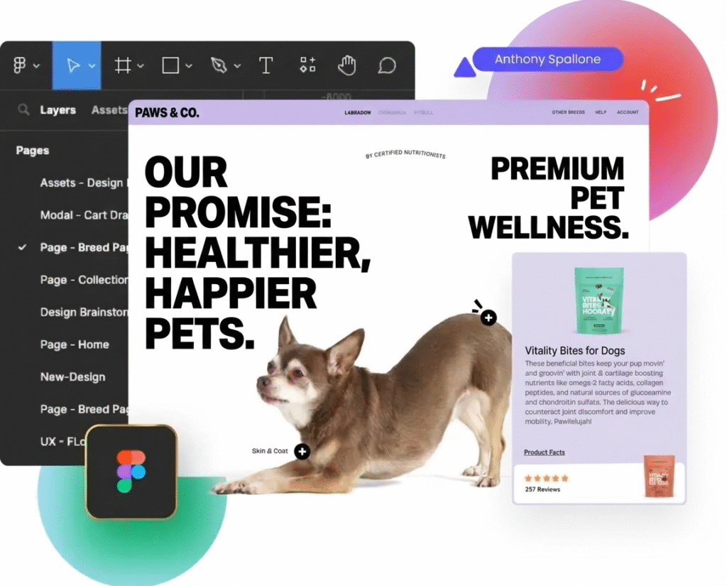 Custom Shopify Store